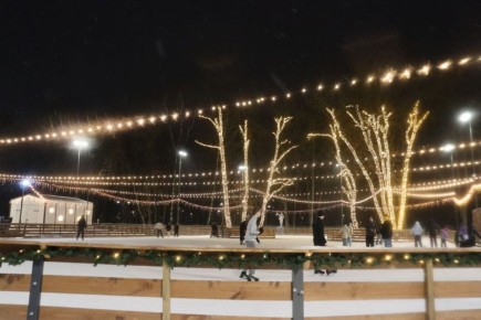 Снегопад "остановил" катки